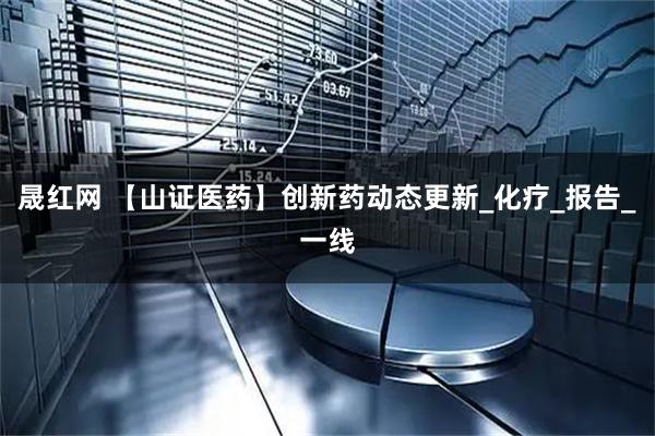 晟红网 【山证医药】创新药动态更新_化疗_报告_一线
