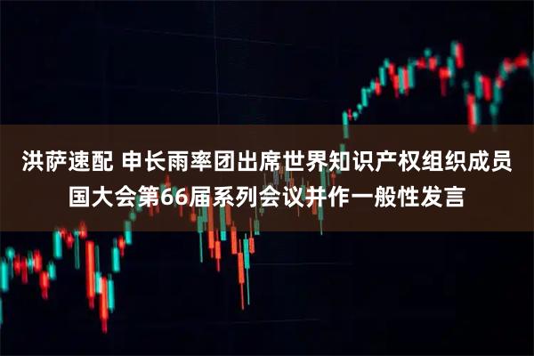 洪萨速配 申长雨率团出席世界知识产权组织成员国大会第66届系列会议并作一般性发言