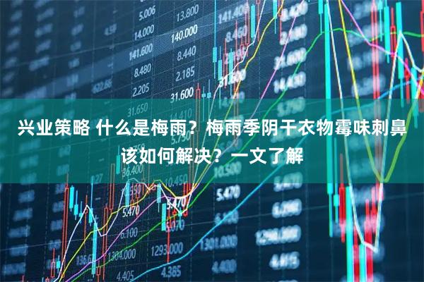 兴业策略 什么是梅雨？梅雨季阴干衣物霉味刺鼻该如何解决？一文了解